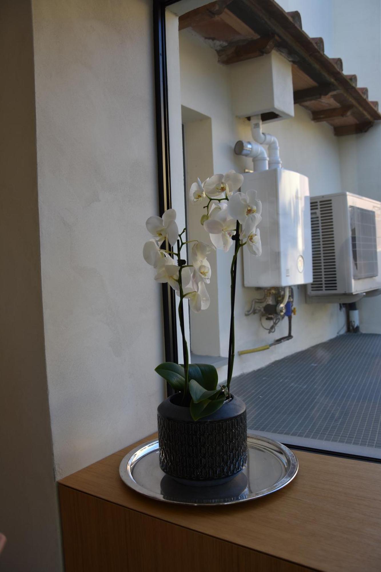 Il Giardino Di Dinda Apartment Arezzo Bagian luar foto